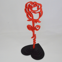 Rose Love